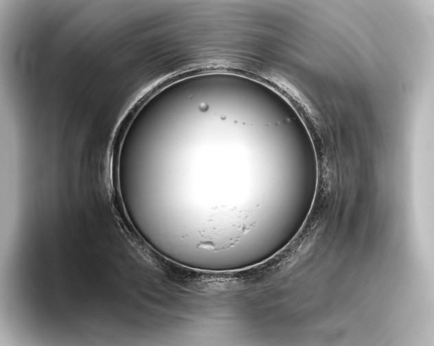 X0000096400886200801241158