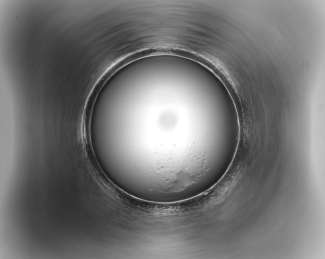 X0000096400887200801241158