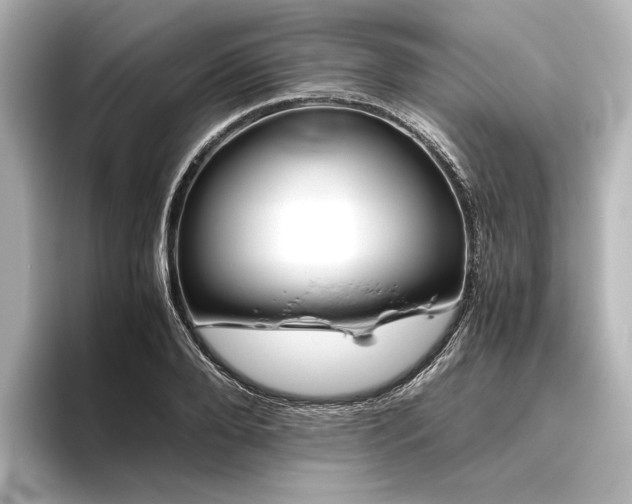 X0000096400888200801241158