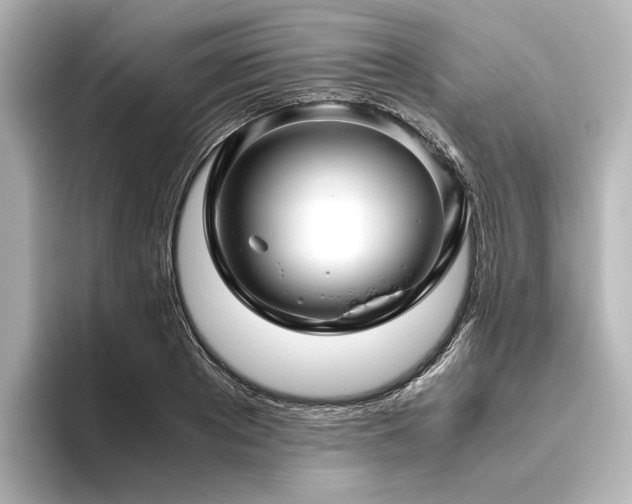 X0000096400889200801241158