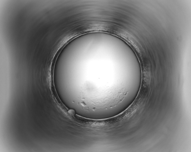 X0000096400890200801241158