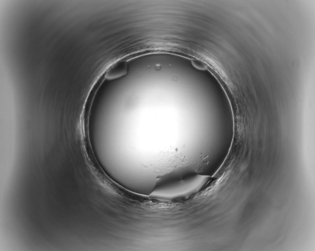 X0000096400891200801241158