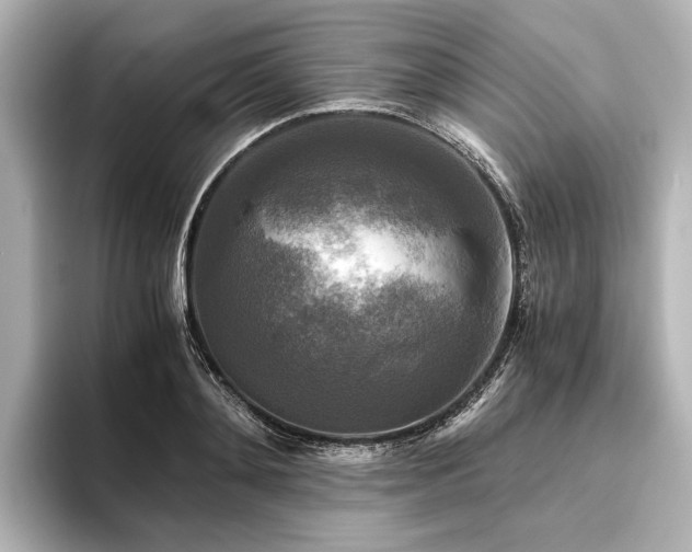 X0000096400892200801241158