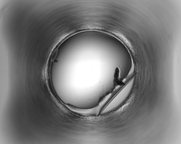 X0000096400893200801241158