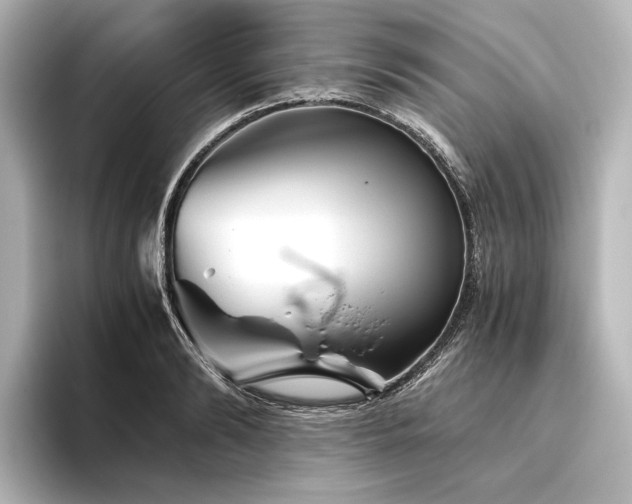 X0000096400894200801241158