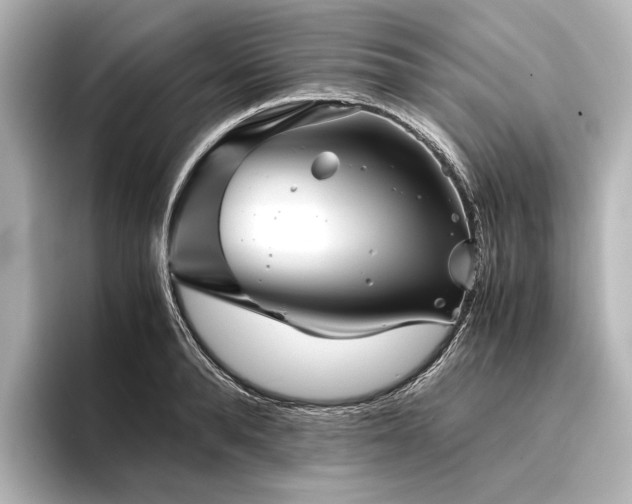 X0000096400896200801241158