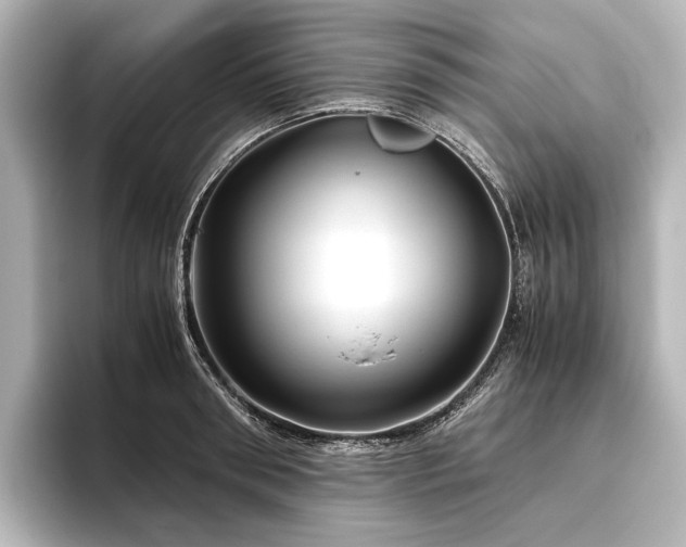 X0000096400898200801241158