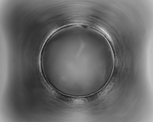 X0000096400899200801241158