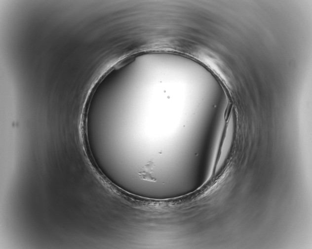 X0000096400901200801241158