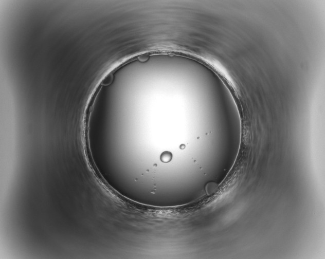 X0000096400903200801241158