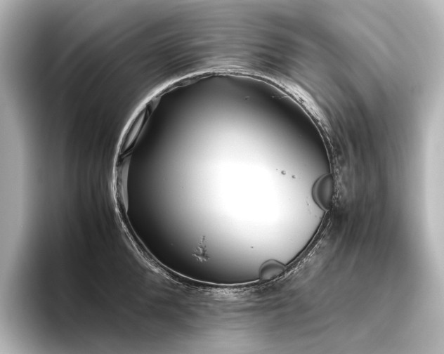 X0000096400904200801241158