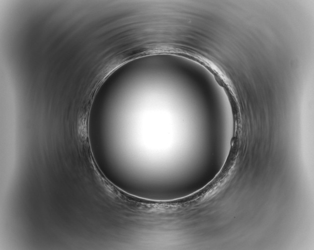 X0000096400905200801241158