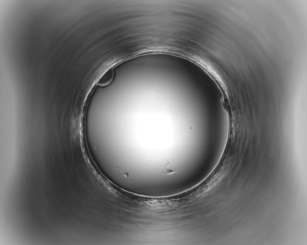 X0000096400906200801241158