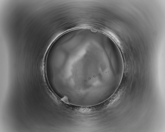 X0000096400907200801241158