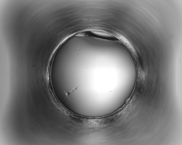 X0000096400908200801241158