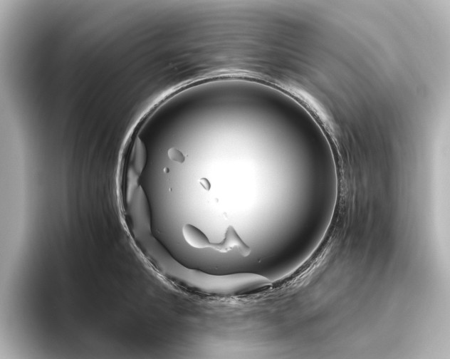 X0000096400910200801241158