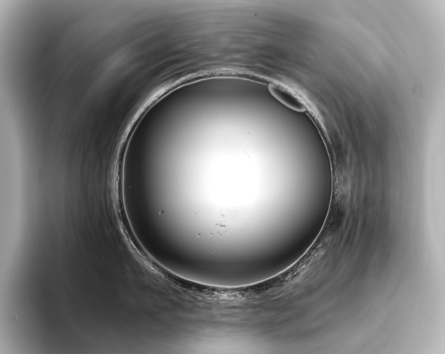 X0000096400911200801241158