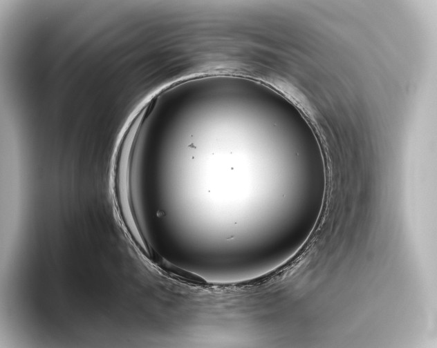 X0000096400912200801241158