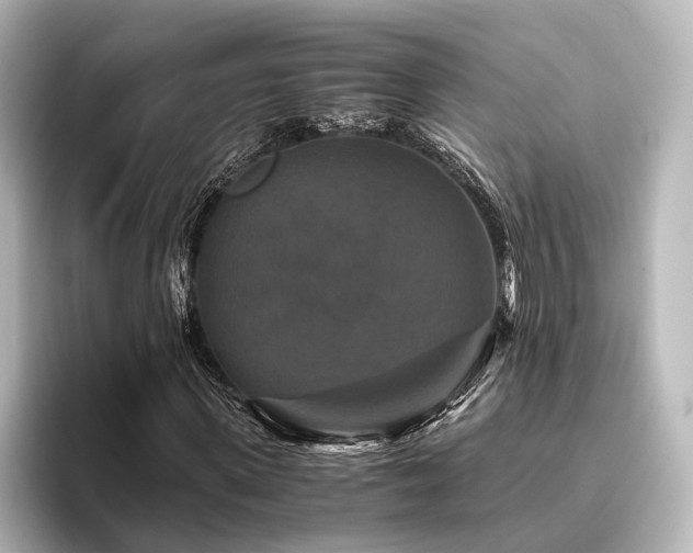 X0000096400915200801241157