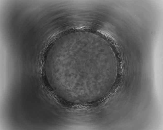 X0000096400917200801241157