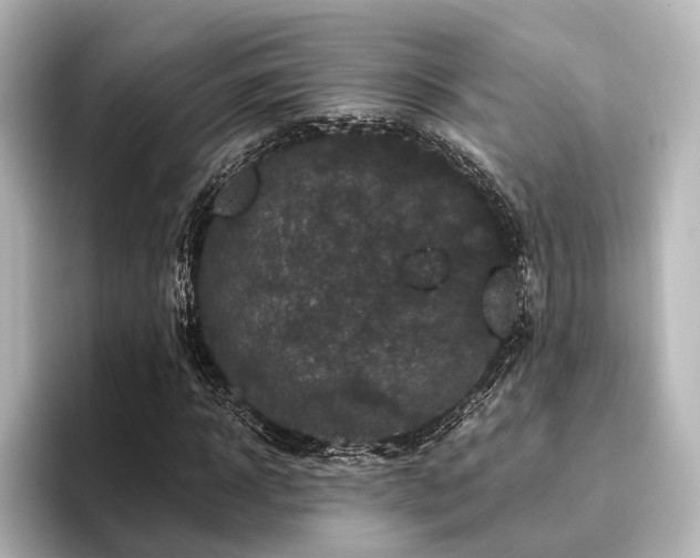 X0000096400918200801241157