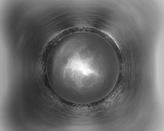 X0000096400919200801241157