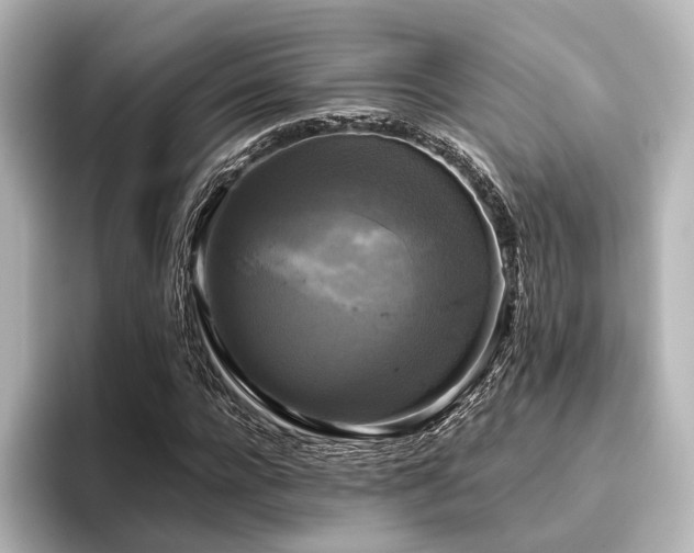 X0000096400920200801241157