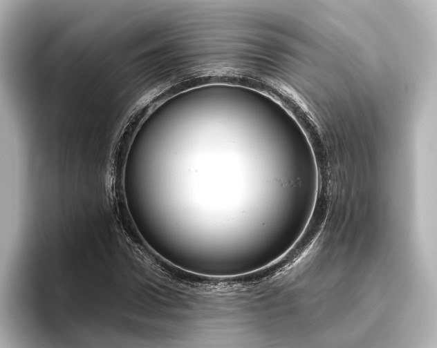 X0000096400922200801241158