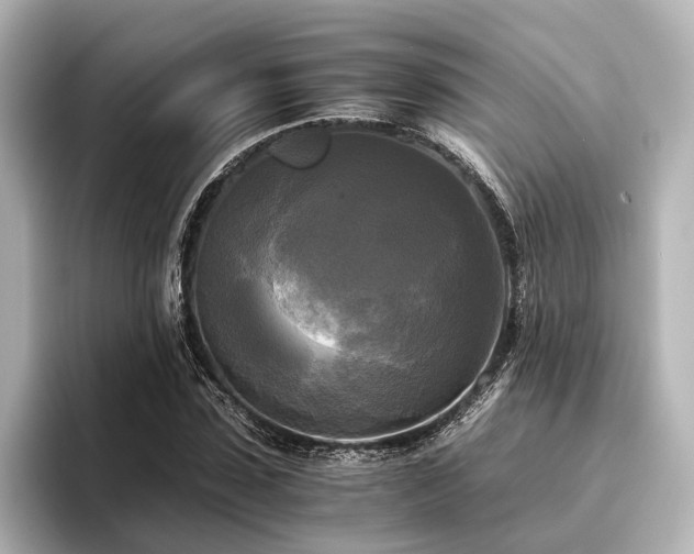 X0000096400923200801241158