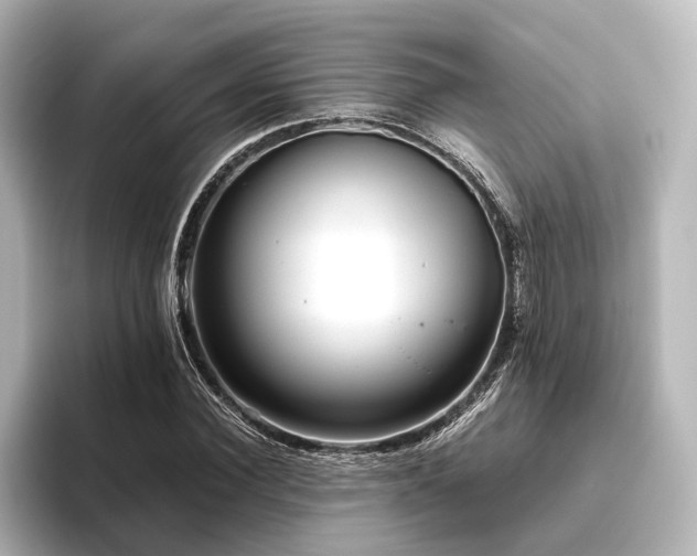 X0000096400924200801241158