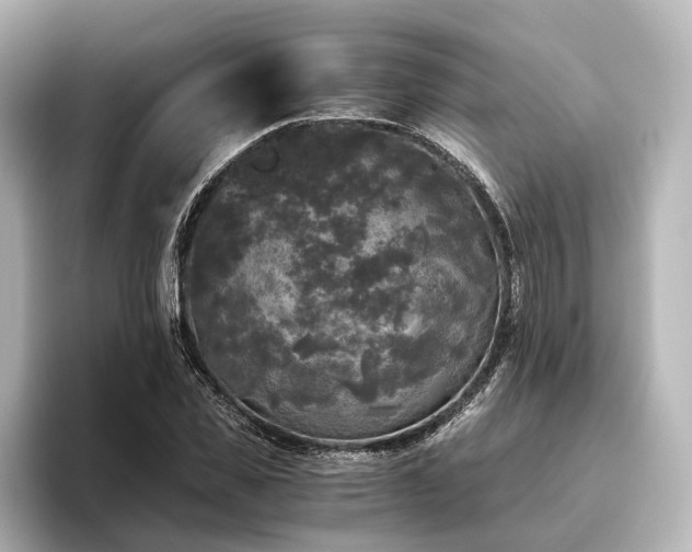 X0000096400925200801241158