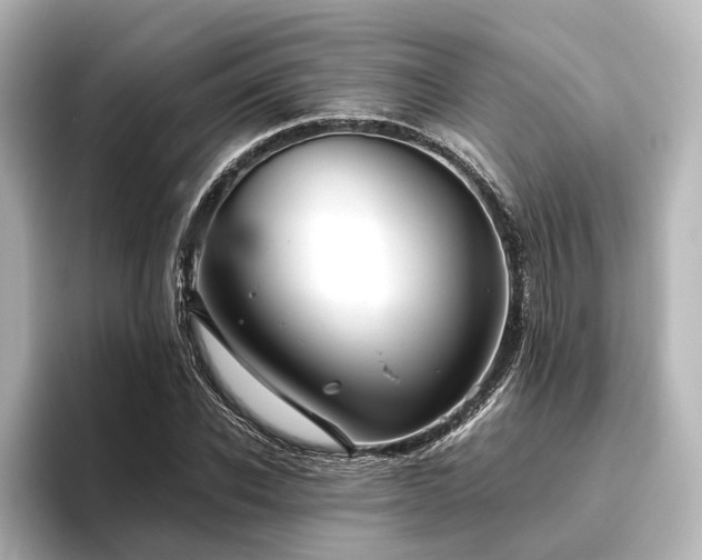 X0000096400926200801241158