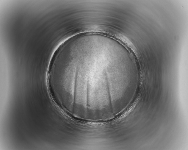 X0000096400928200801241158