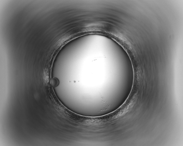 X0000096400929200801241158