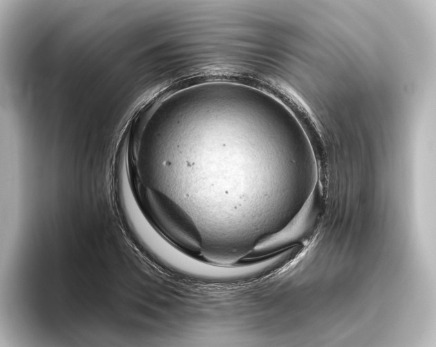 X0000096400930200801241158