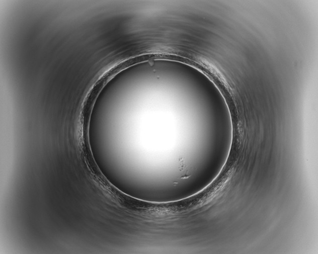 X0000096400931200801241158