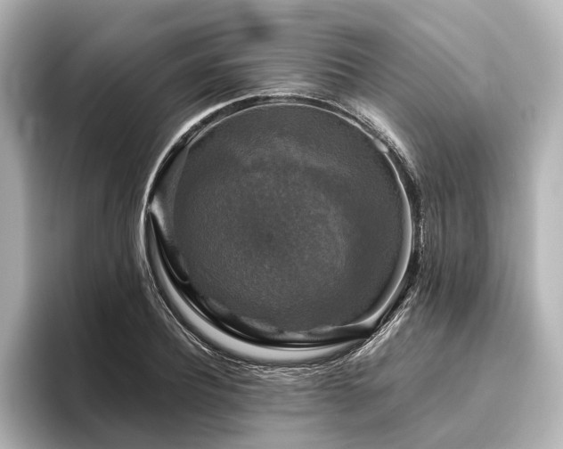 X0000096400932200801241158