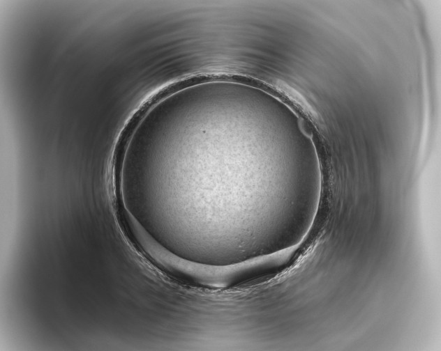 X0000096400934200801241158