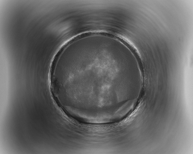 X0000096400935200801241158