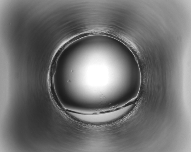 X0000096400936200801241158