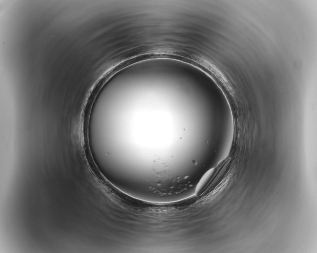 X0000096400939200801241158