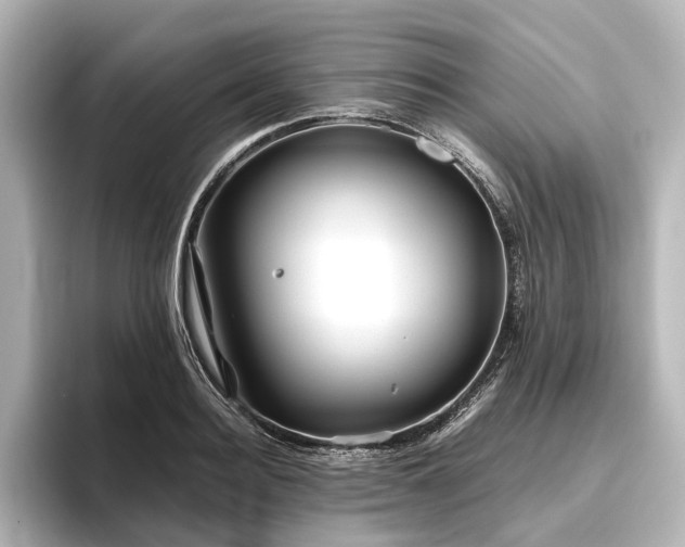 X0000096400940200801241158