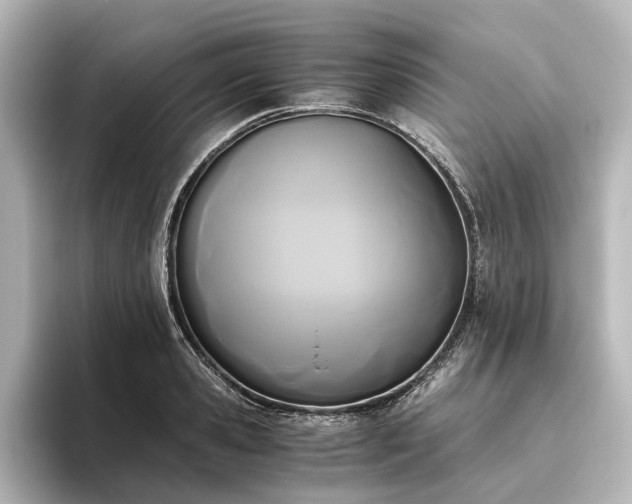 X0000096400941200801241158