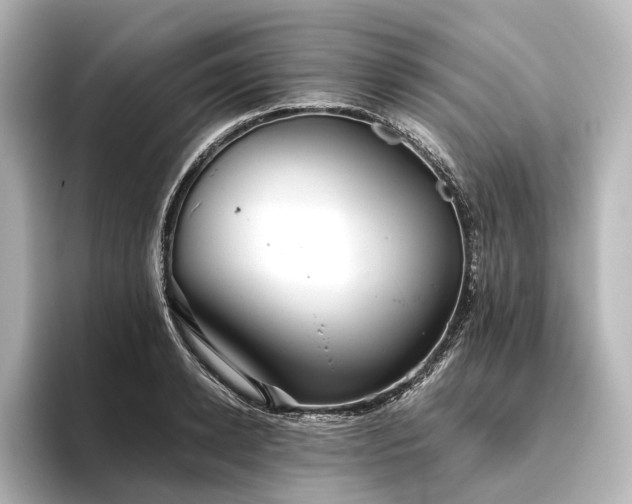 X0000096400942200801241158