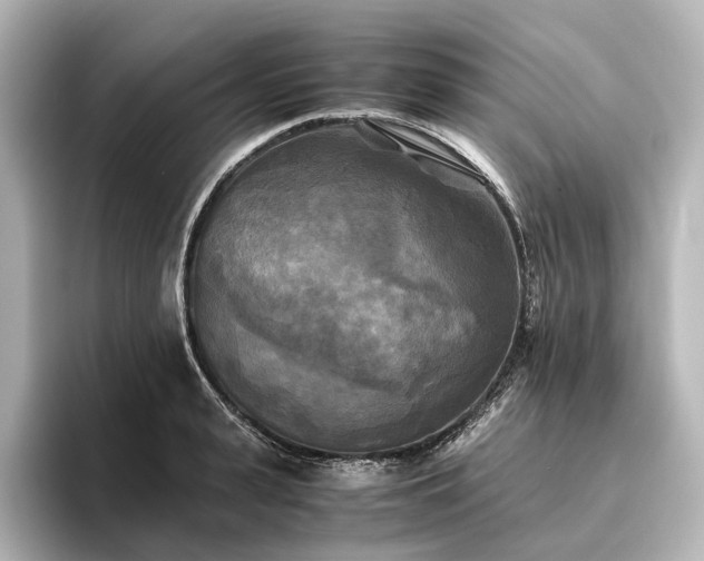 X0000096400943200801241158