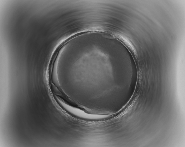 X0000096400944200801241158