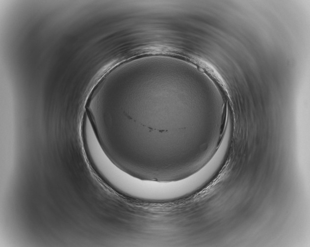 X0000096400946200801241158