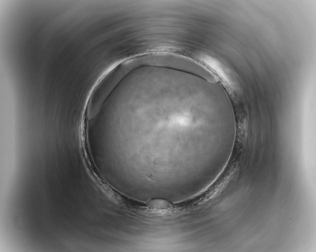 X0000096400948200801241158