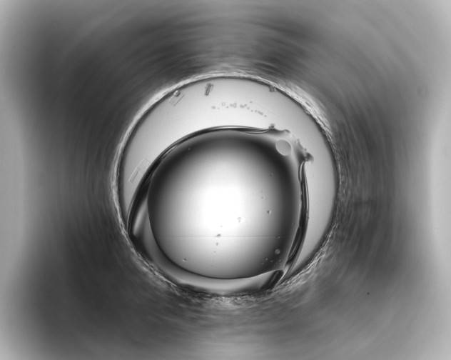 X0000096400950200801241158