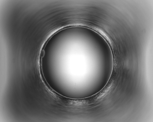 X0000096400951200801241158